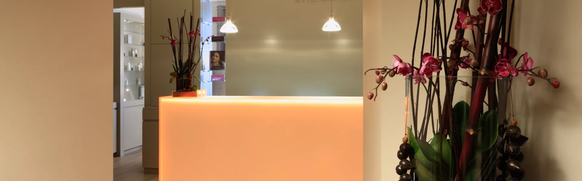 HIMACS: Institut Imaderm