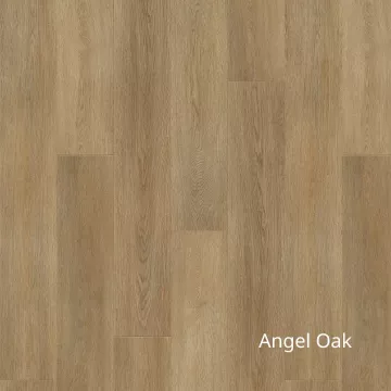 Angel Oak