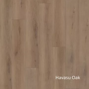 Havasu Oak