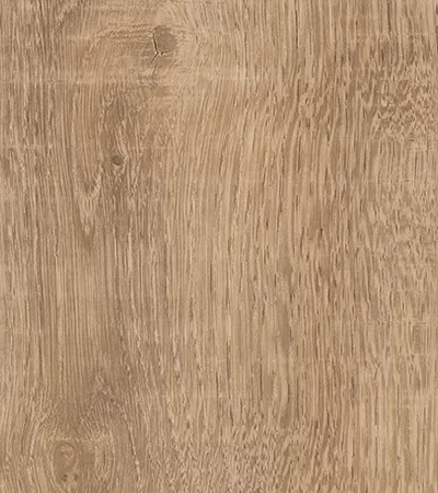 Lyon Oak