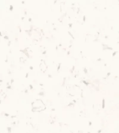 Gravilla snow