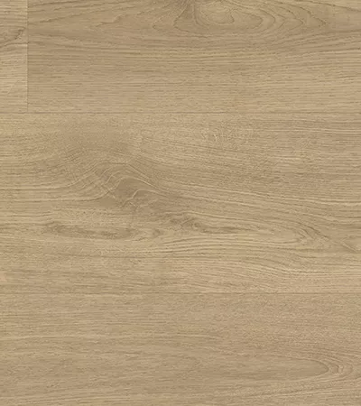 European Oak