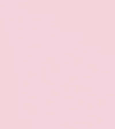 Pink Leia