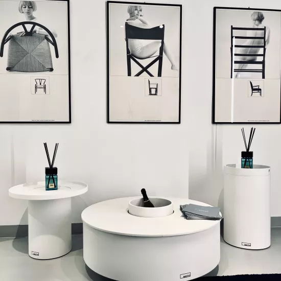HIMACS Shines in Milan with HI MAZE and Nautys