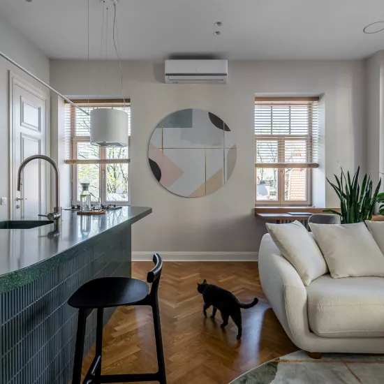 The Power of Green: HIMACS Maui Shapes a Renovated Vilnius Kitchen