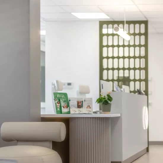 HIMACS redefines the patient experience in a dental clinic in Vienna