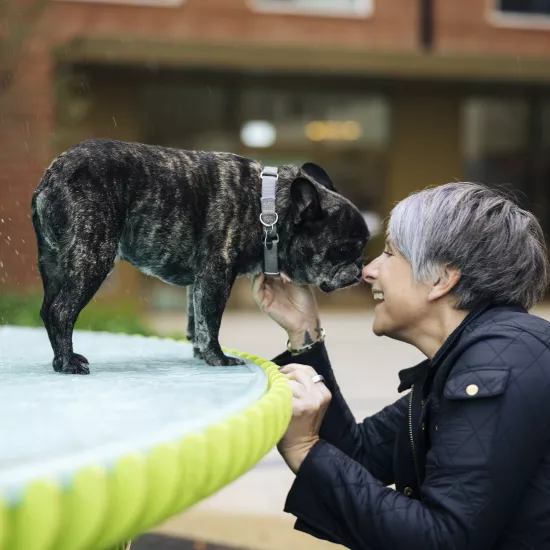 Sculpting Water: NEON Designs a Landmark Fountain with HIMACS