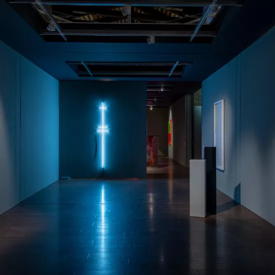 HIMACS at Biennale di Venezia with Ludovico Bomben