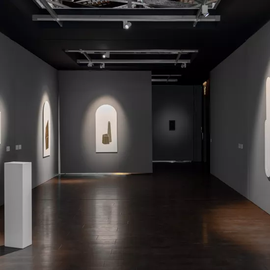 HIMACS at Biennale di Venezia with Ludovico Bomben