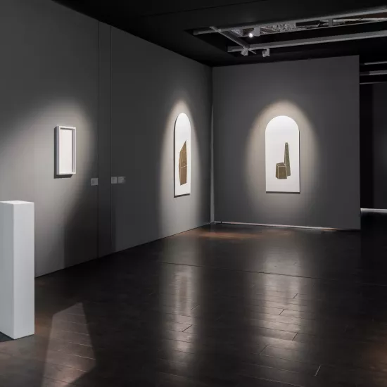 HIMACS at Biennale di Venezia with Ludovico Bomben