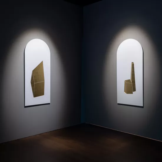 HIMACS at Biennale di Venezia with Ludovico Bomben