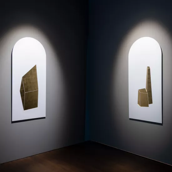 HIMACS at Biennale di Venezia with Ludovico Bomben