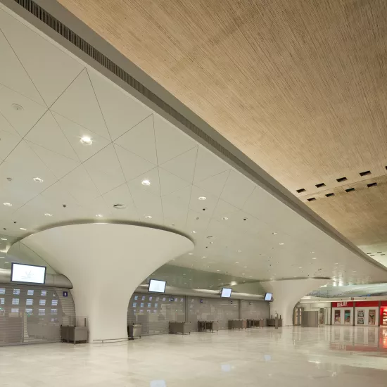 Charles de Gaulle airport in Paris