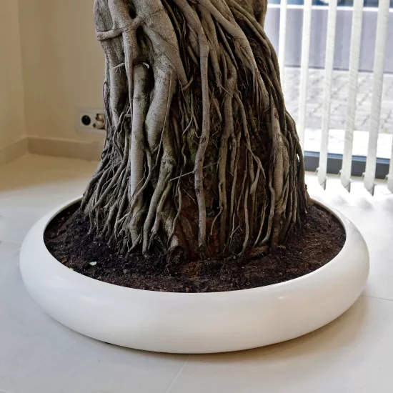 Green Art