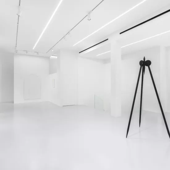 HIMACS for the art world