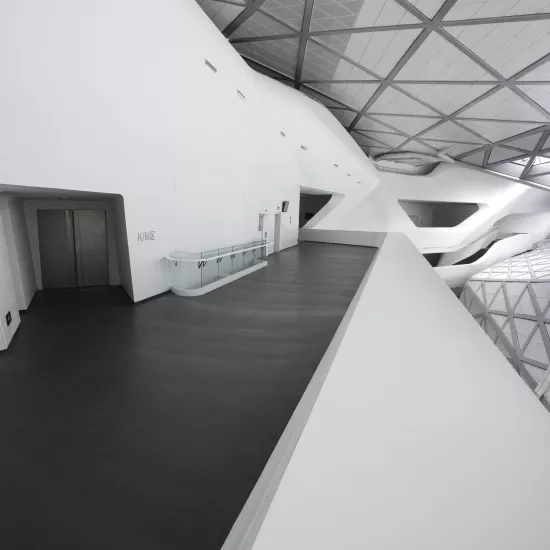 Guanzhou Opera House