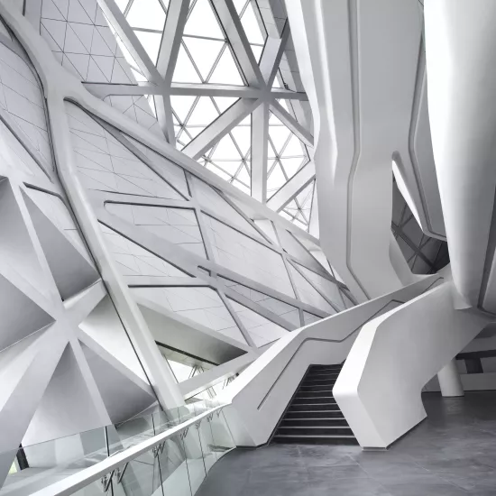 HIMACS: Guanzhou Opera House