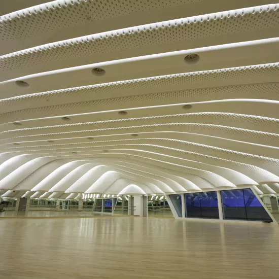 Guanzhou Opera House