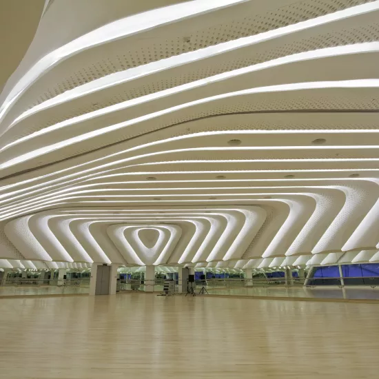 Guanzhou Opera House