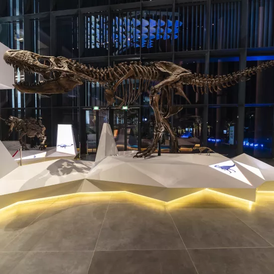 HIMACS provides an aesthetic finish to the ambitious museum project for a new cultural centre in Kuwait