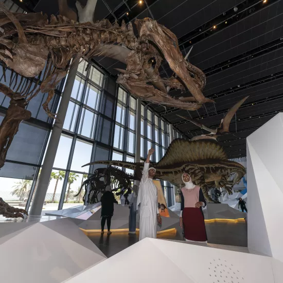 HIMACS provides an aesthetic finish to the ambitious museum project for a new cultural centre in Kuwait