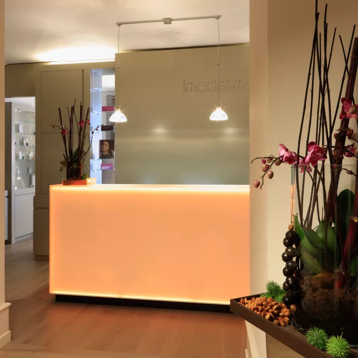 HIMACS: Institut Imaderm