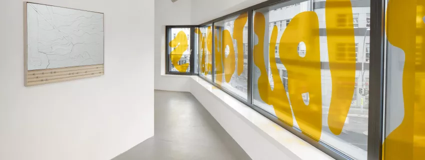 HIMACS: kreativer Wegbereiter für Lena Marie Emrichs Ausstellung "soft cruelties"