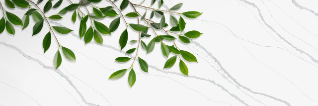 LX Hausys Viatera Calacatta Verde
