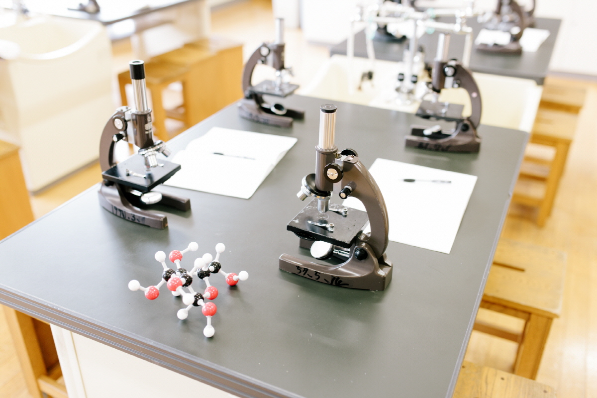 What's the Best Countertop Material for a Scientific Laboratory? LX