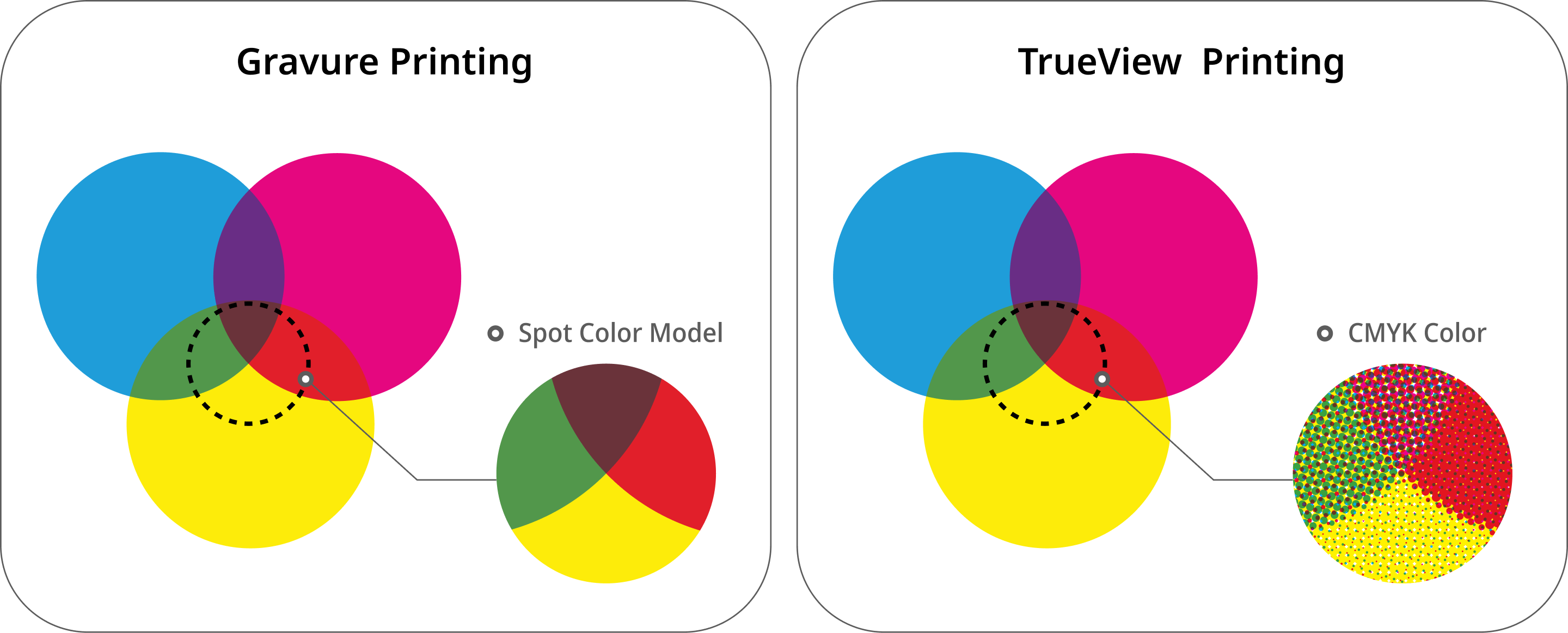 Spot Color vs. CMYK Color
