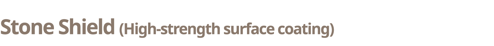 Stone Shield (High-strength surface coating)