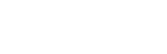Stone Shield (High-strength surface coating)