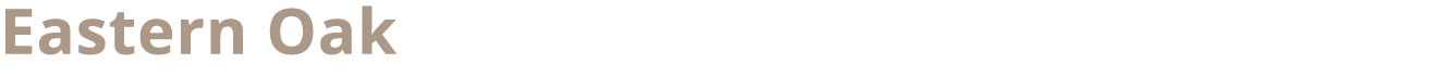 Eastern Oak 